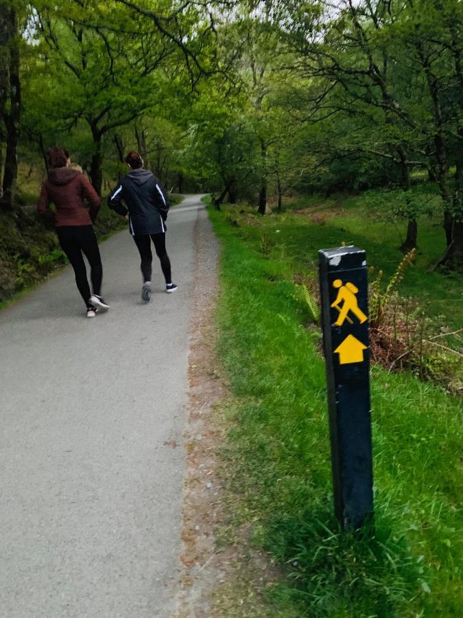 Wicklow Way Lodge Kültér fotó