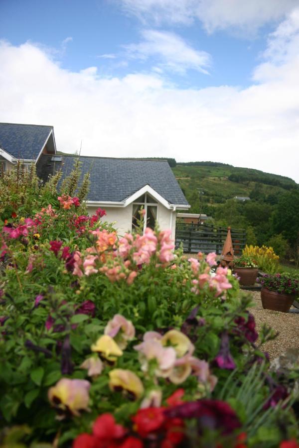 Wicklow Way Lodge Kültér fotó