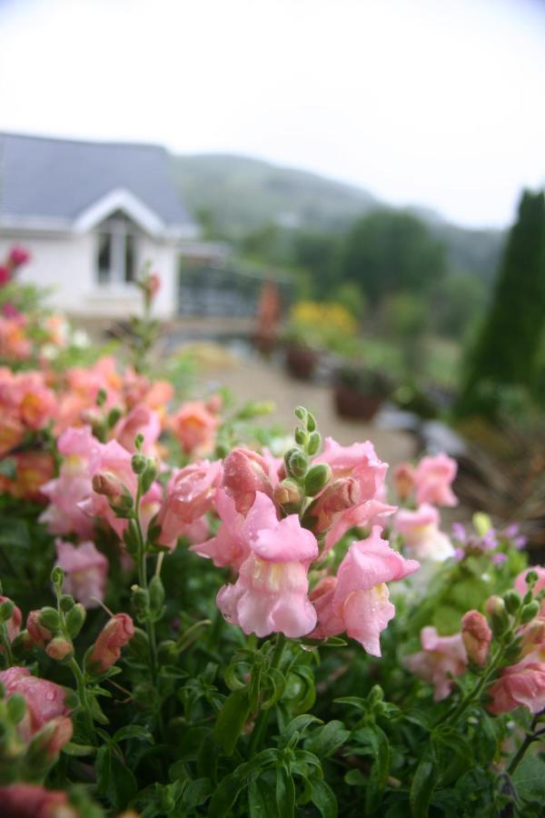Wicklow Way Lodge Kültér fotó